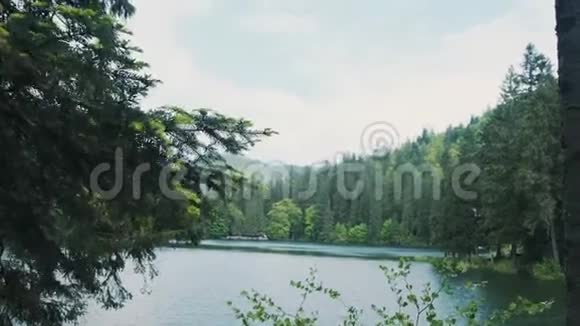森林湖里的蓝水和松树视频的预览图
