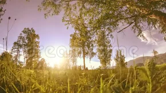 山地草甸时间夏季或秋季时推移野的自然和田园电动滑块小车运动视频的预览图