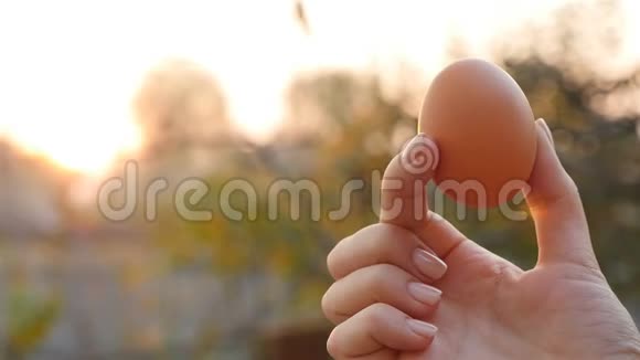 手中的鸡蛋户外慢动作视频的预览图