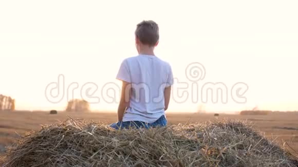 那家伙坐在干草堆上他向外看着田野乡村日落视频的预览图