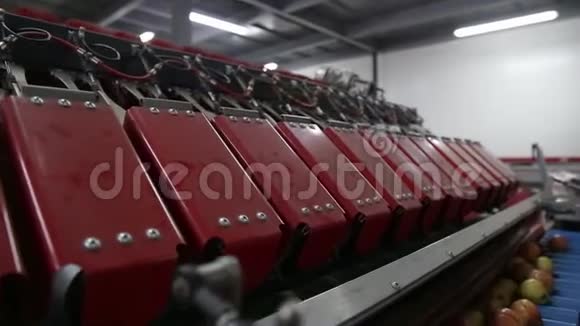 制造工厂内大规模生产用分拣产品的高速自动化机器视频的预览图
