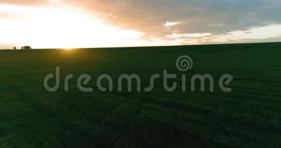 在阳光明媚的夏季傍晚飞行在乡村夏日景观之上有着无尽的黄色田野秋季农业农田视频的预览图