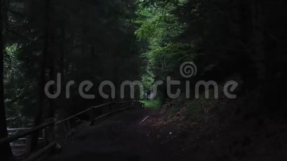 一座通向黑暗森林的脚桥视频的预览图