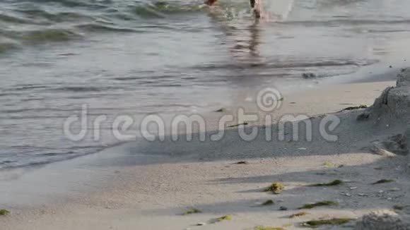 海上冲浪特写人的双脚从海中跑向岸边视频的预览图