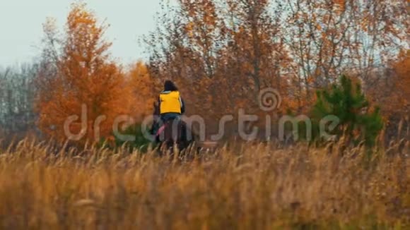两个女人骑着马在秋天的大自然骑着车向森林走去视频的预览图