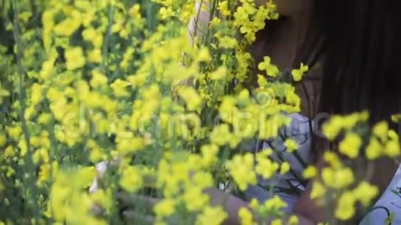 一个年轻的女孩在一片美丽的油菜花田里吸着黄花的香味视频的预览图
