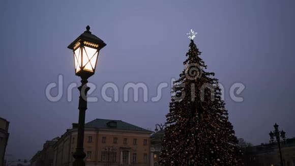 美丽圣诞树背景上的路灯视频的预览图