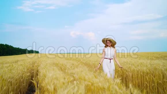 幸福浪漫的红发女人走在麦田抚摸成熟的麦穗视频的预览图