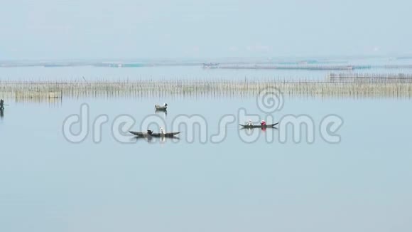 小船渔民在泻湖捕鱼视频的预览图