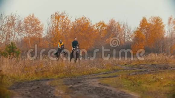 两个骑马的女人在秋天的田野上奔跑金色的风景视频的预览图