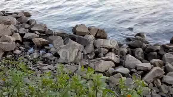下午拍摄一个岩石海滩水波石头河岸水在河岸上洗石头风景视频的预览图
