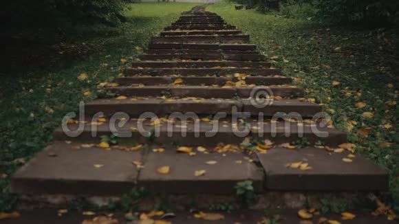 老楼梯在绿林中撒满了秋黄的叶子视频的预览图