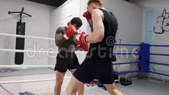 两个马拳手在拳击场中训练腿踢运动员在个人训练时用脚低击视频的预览图