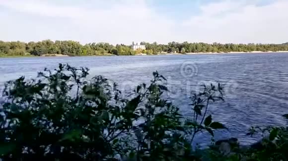 一片绿油油的灌木在一个温暖的夏日傍晚在河的背景下迎风飘扬超越的概念视频的预览图