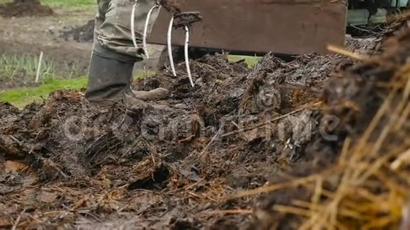 一个穿靴子的农民正在装鲜粪慢动作特写视频的预览图