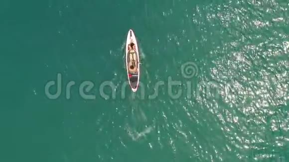 阳光明媚的夏日年轻的一对冲浪者漂浮在绿松石的海面上视频的预览图