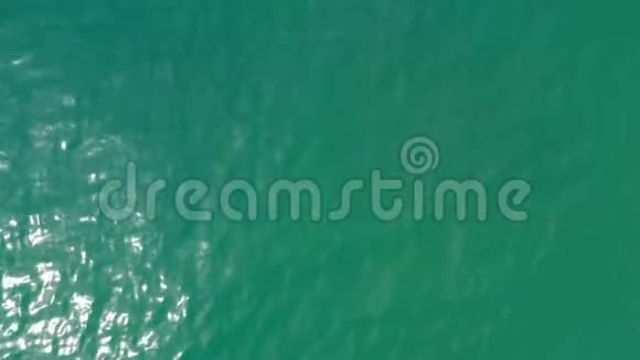 冲浪板漂浮在轻柔的波浪上年轻夫妇积极地在海上休息视频的预览图