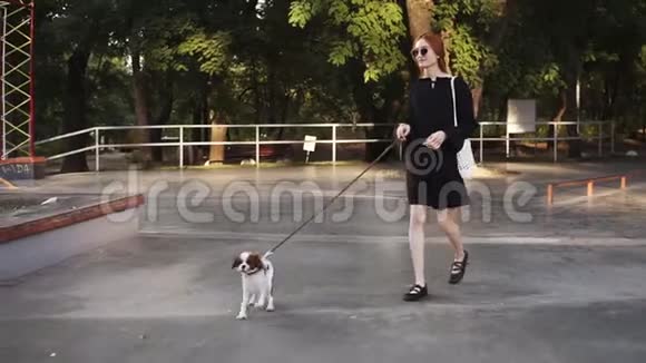 穿着黑色衣服的漂亮女孩在城市公园散步纯种狗享受自然环顾四周健康视频的预览图