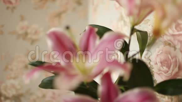 美丽的百合花接近视频的预览图