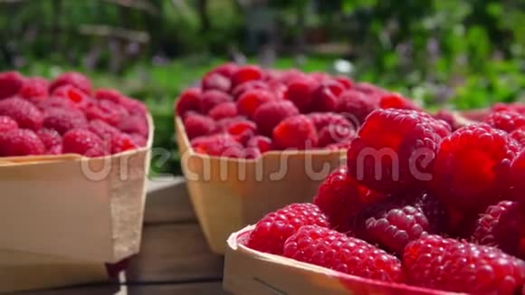 美丽的篮子里装满了多汁的红树莓视频的预览图