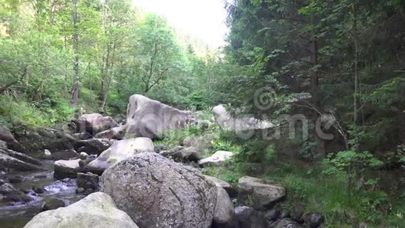阳光明媚的德国哈兹山脉夏季景观中的大岩石和水流视频的预览图