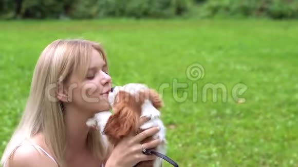 年轻漂亮的女人和公鸡斯帕尼尔狗接吻公园视频的预览图