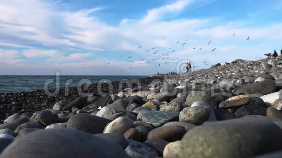 美丽的海滨景色人们喂海鸥慢动作视频的预览图