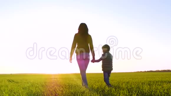 女人牵着孩子的手走在绿草上一个幸福的家庭在日落时去迎接太阳视频的预览图