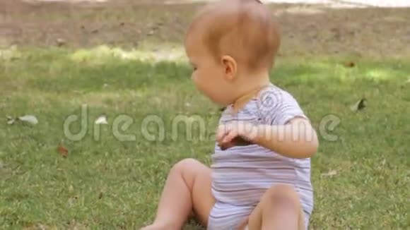 试探性的婴儿在草丛中爬行视频的预览图