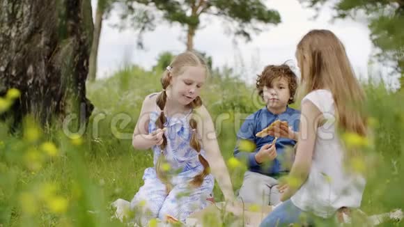 夏季野餐时无忧无虑的青少年在绿色草坪上吃披萨十几岁的女孩和男孩在夏天吃披萨视频的预览图