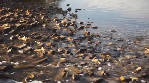 岩石海岸的景色视频的预览图