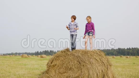 在村庄的收割场上嬉戏的女孩和男孩在干草堆上跳跃快乐的青少年在干草堆上跳跃视频的预览图