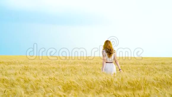 在阳光明媚的日子里年轻的红发女子走在金色的麦田里视频的预览图