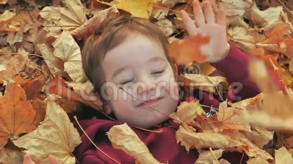 孩子们在公园里玩耍向一个微笑的男孩扔黄色的秋叶一个快乐的婴儿躺在秋叶里快乐视频的预览图
