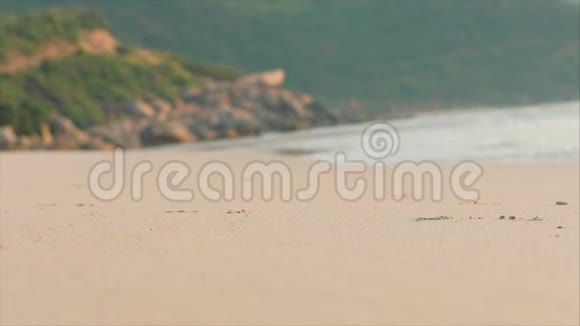 在热带海洋背景下的热带海滩上孩子们脚在湿沙上行走的剪影概念视频的预览图