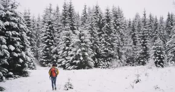 在美丽的雪林里一个大圣诞树游客独自旅行他慢慢地穿过雪地视频的预览图