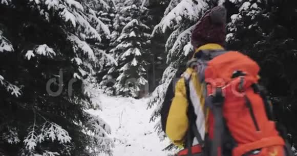 充满魅力的游客在寒冷的冬天里他带着一个大森林探索新的探险视频的预览图