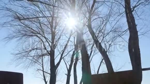 底部的树木对蓝天的看法明亮的阳光照在镜头里相机在运动视频的预览图