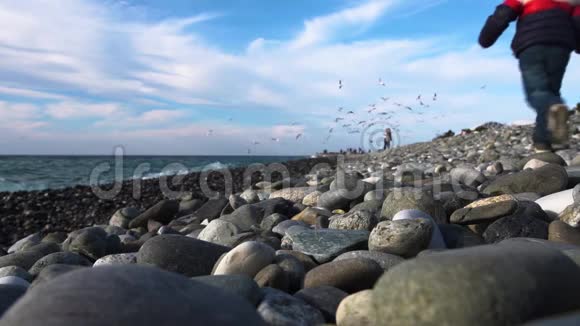 一个小男孩跑在鹅卵石海滩上男孩和鸟儿慢动作视频视频的预览图