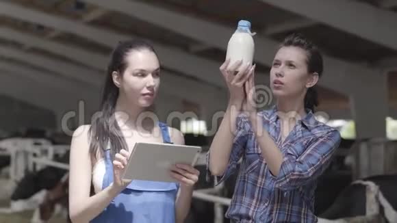 年轻的女农民带着奶牛在农场参观谷仓考了奶牛验奶证明视频的预览图