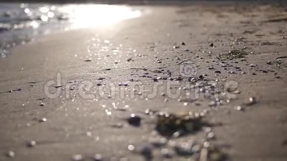 日落时分西班牙海岸有绿海藻石和贝壳动作缓慢视频的预览图