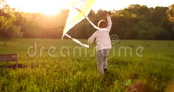 这个男孩放风筝夏日阳光明媚那个穿着灰色T恤和风筝的男孩一个欧洲人的男孩视频的预览图