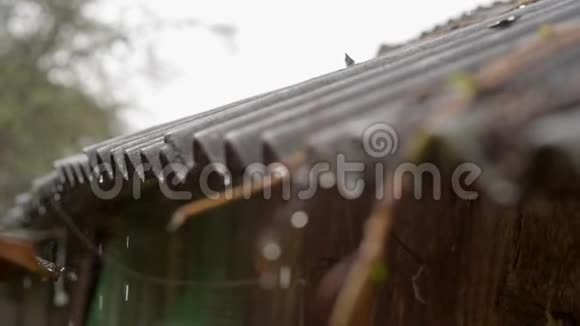 雨点从屋顶滴下来视频的预览图