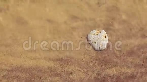 海岸线石头纹理2视频的预览图