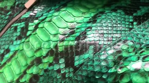 绿色蛇皮蟒纹理时尚豪华皮夹克特写视频的预览图