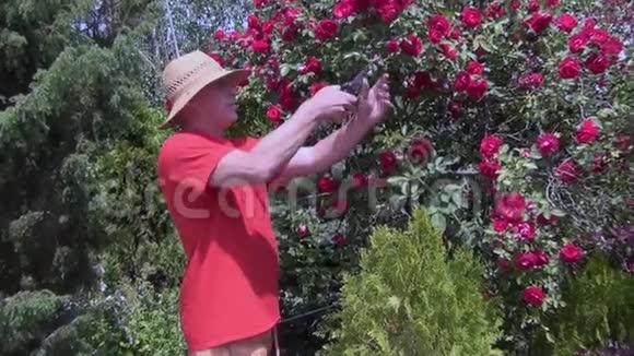 一个戴着帽子的年轻人剪了一朵长在情节上的玫瑰视频的预览图