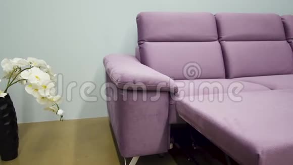 折叠式紫色沙发在舒适的客厅舒适的客厅内部视频的预览图