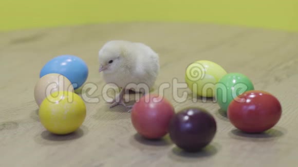 复活节鸡和彩蛋木制桌子黄色背景毛茸茸的小妞视频的预览图