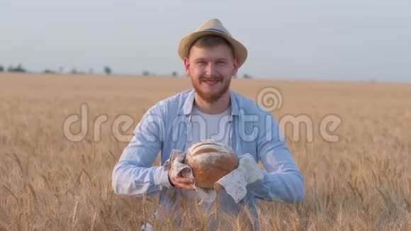 勤劳的年轻农民快乐的乡下人给你美味的根在秋天的谷物麦田里微笑视频的预览图