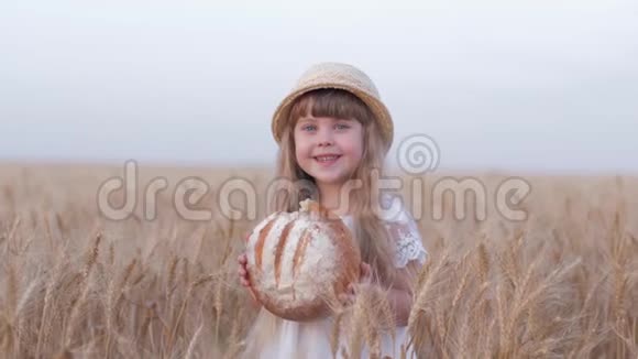 在金收谷物麦田里小女孩咬着美味的烘焙面包微笑着视频的预览图